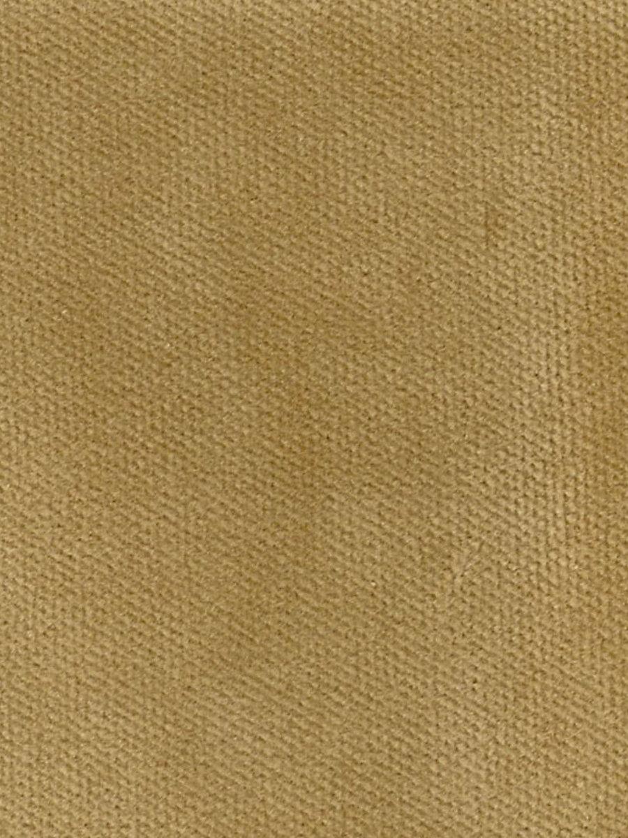 Scalamandre Commodore Camel Fabric