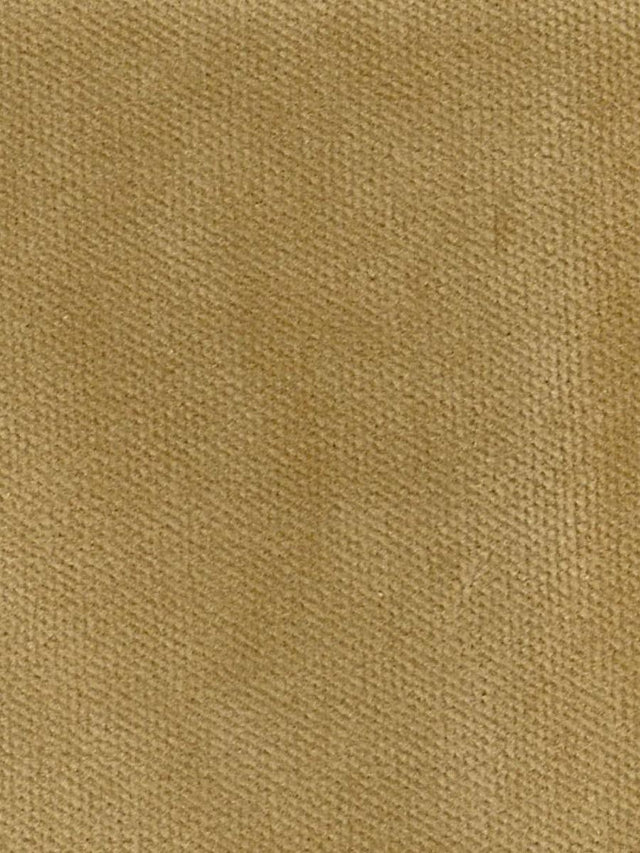Scalamandre Commodore Camel Fabric