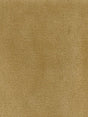 Scalamandre Commodore Camel Fabric