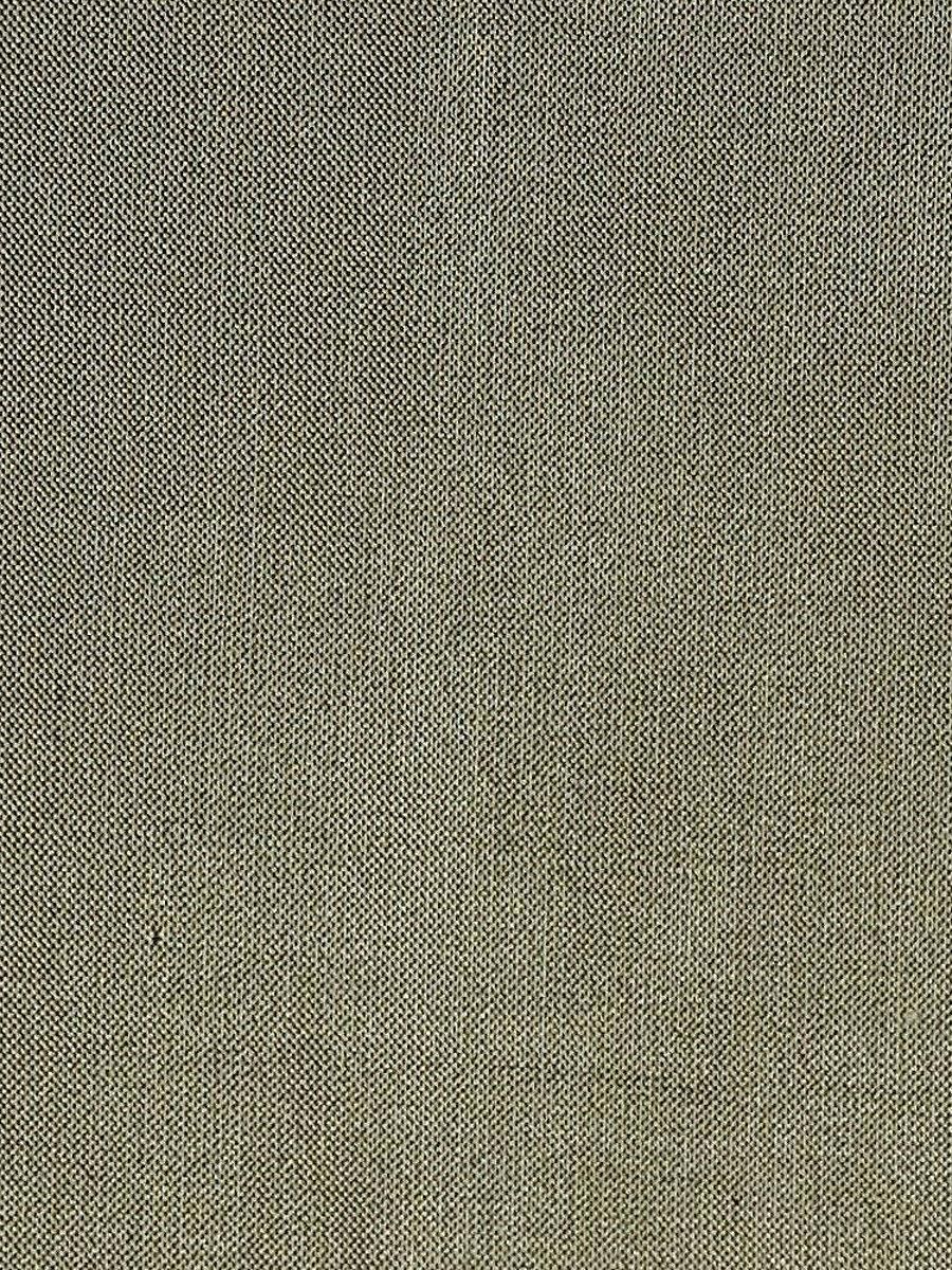 Scalamandre Dupioni Solids Moss Fabric
