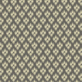 Kasmir Lanka Ikat Graphite Fabric