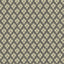 Kasmir Lanka Ikat Graphite Fabric