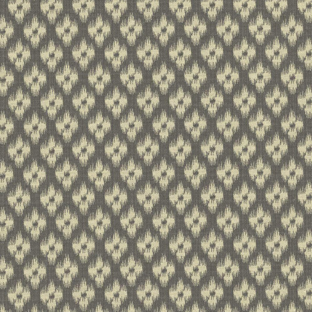 Kasmir Lanka Ikat Graphite Fabric
