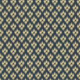 Kasmir Lanka Ikat Indigo Fabric