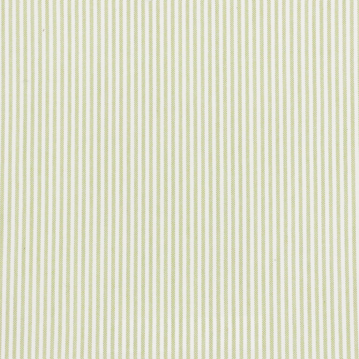 Stout BETHANY LIME Fabric
