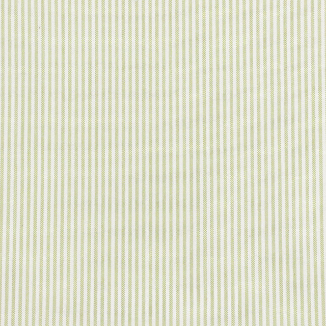 Stout BETHANY LIME Fabric