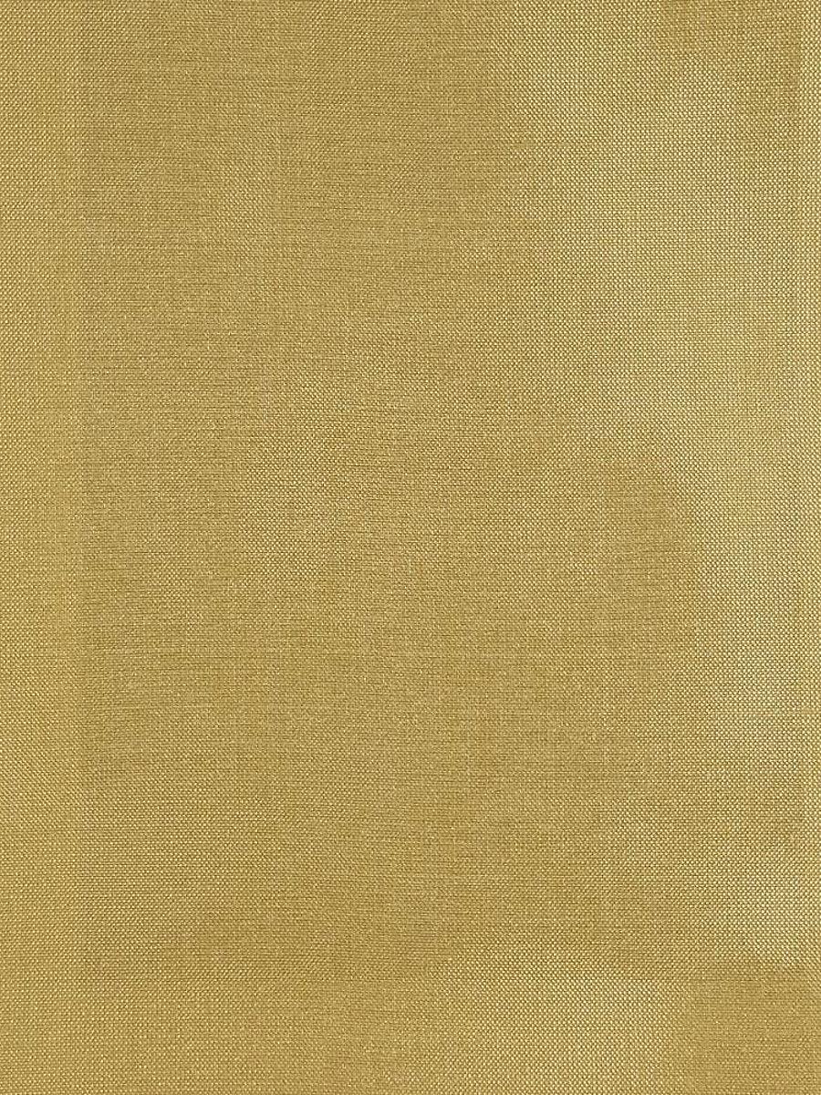 Scalamandre Dupioni Solids Baroda Fabric