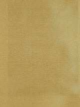 Scalamandre Dupioni Solids Baroda Fabric