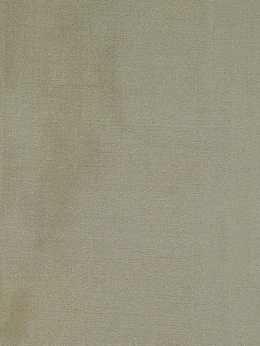 Scalamandre Dupioni Solids Jabalpur Fabric