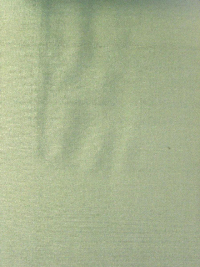 Scalamandre Dupioni Solids Kanpur Fabric