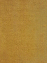 Scalamandre Dupioni Solids Nasik Fabric