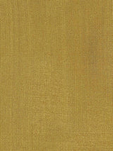 Scalamandre Dupioni Solids Bijapur Fabric