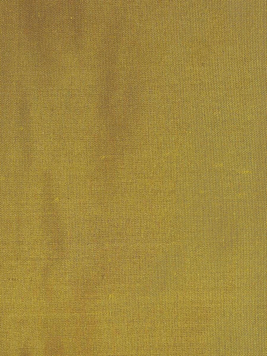 Scalamandre Dupioni Solids Seoni Fabric