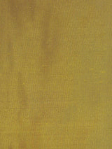 Scalamandre Dupioni Solids Seoni Fabric