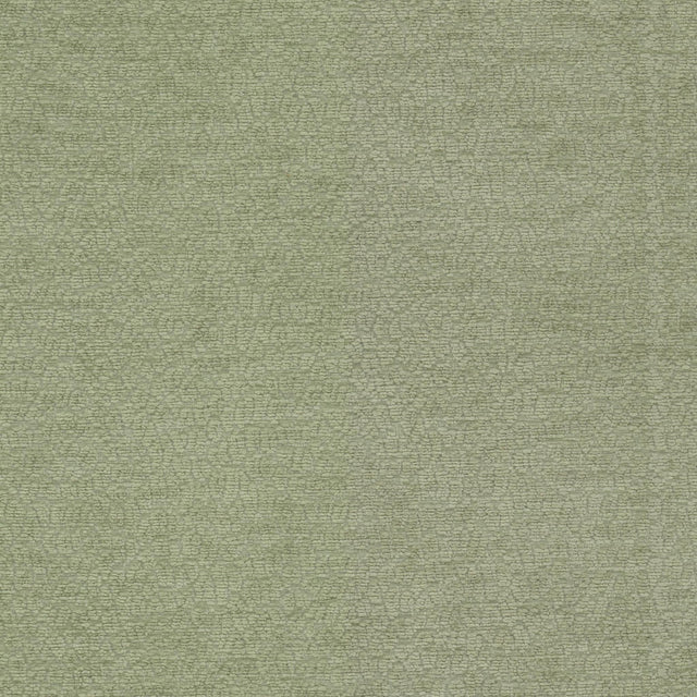 Stout CAVALIER BALSAM Fabric