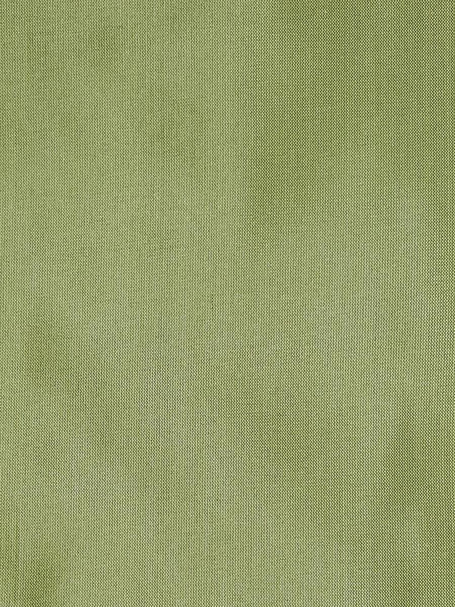Scalamandre Dupioni Solids Guntur Fabric