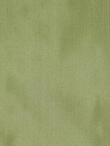 Scalamandre Dupioni Solids Guntur Fabric