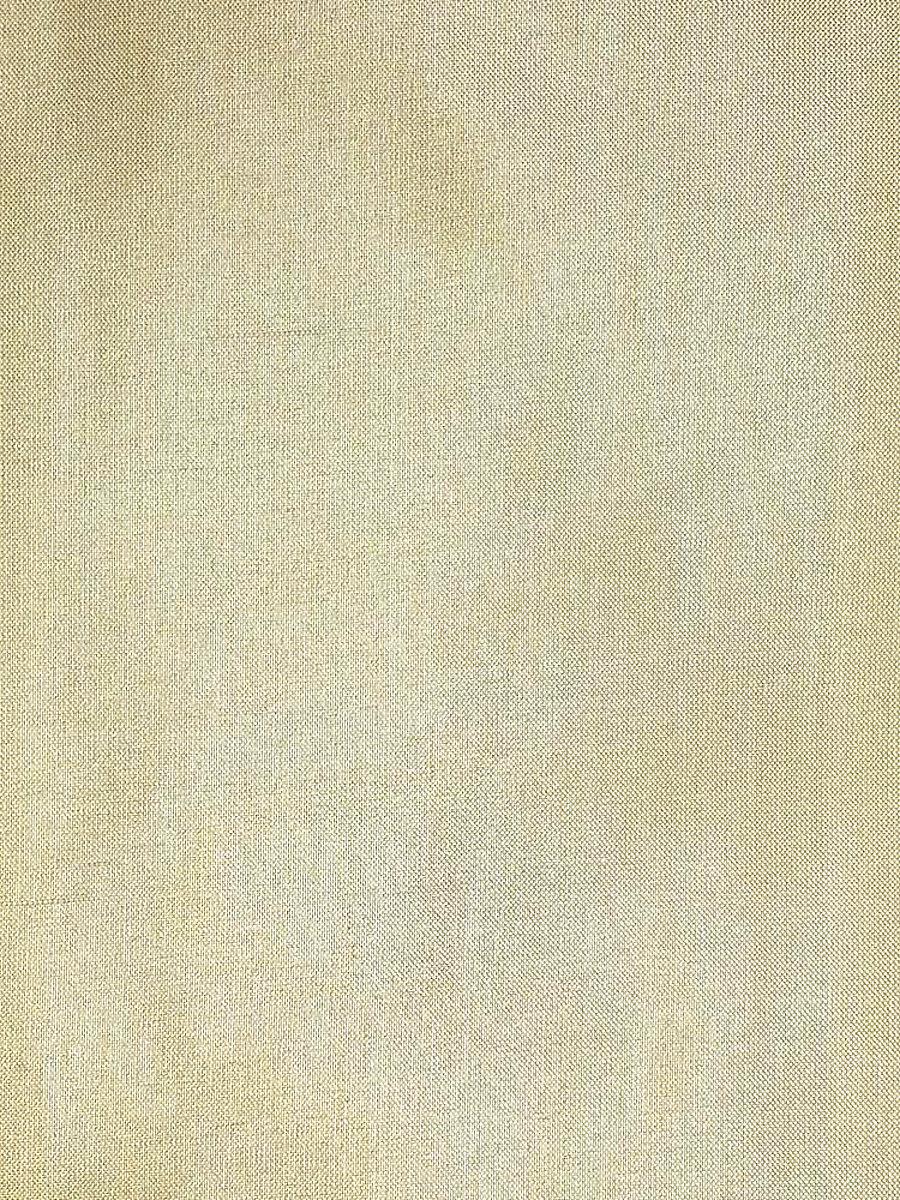 Scalamandre Dupioni Solids Coimbatore Fabric