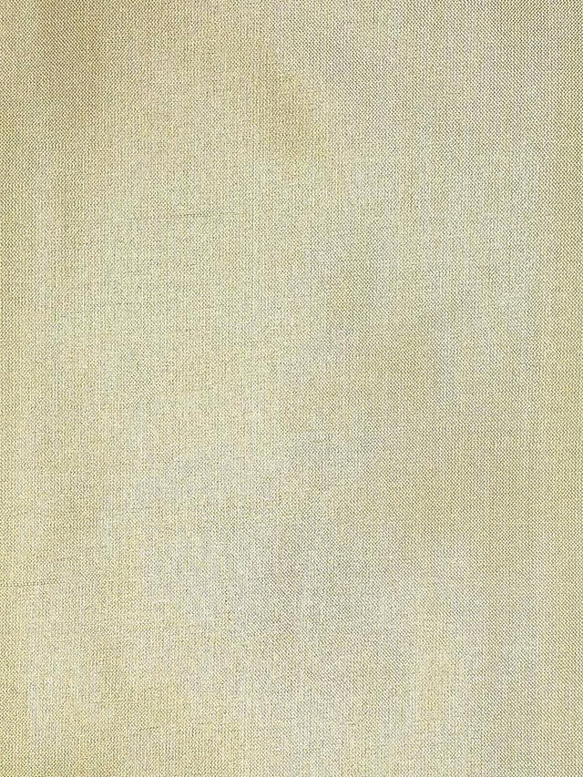 Scalamandre Dupioni Solids Coimbatore Fabric