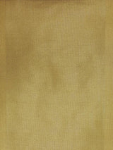 Scalamandre Dupioni Solids Khajuraho Fabric