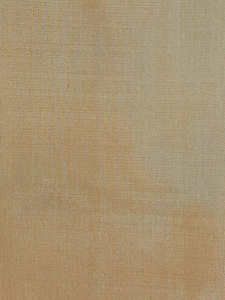 Scalamandre Dupioni Solids Kuila Fabric
