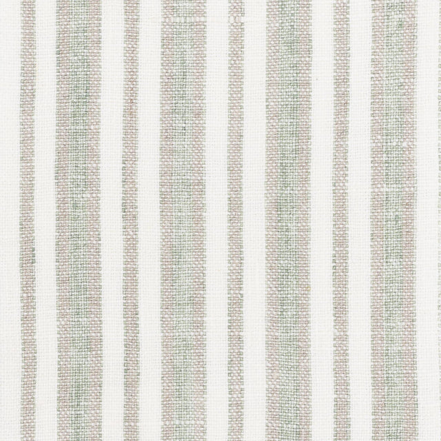 Stout ENCORE CYPRESS Fabric