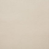 Pindler BARSTOW ECRU Fabric