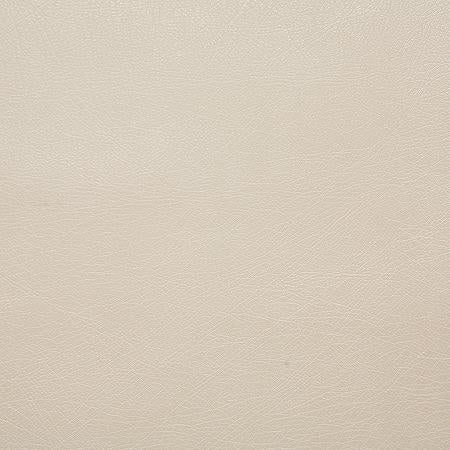 Pindler BARSTOW ECRU Fabric