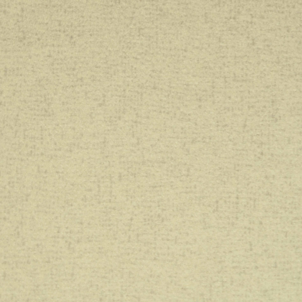 Gaston Y Daniela LUALABA CRUDO Upholstery Fabric