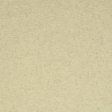 Gaston Y Daniela LUALABA CRUDO Upholstery Fabric