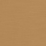 Kasmir Luxe Camel Fabric