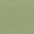 Kasmir Luxe Jade Fabric