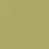 Kasmir Luxe Pistachio Fabric