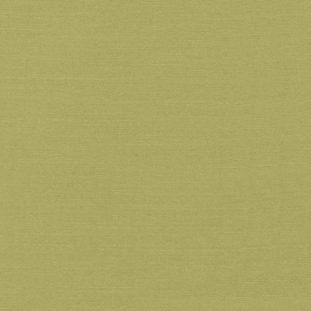 Kasmir Luxe Pistachio Fabric