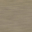 Kasmir Luxe Stone Fabric