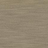 Kasmir Luxe Stone Fabric