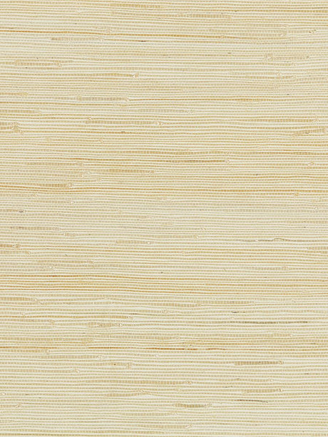 Scalamandre Textured Sisal White Sand Wallpaper