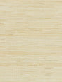 Scalamandre Textured Sisal White Sand Wallpaper