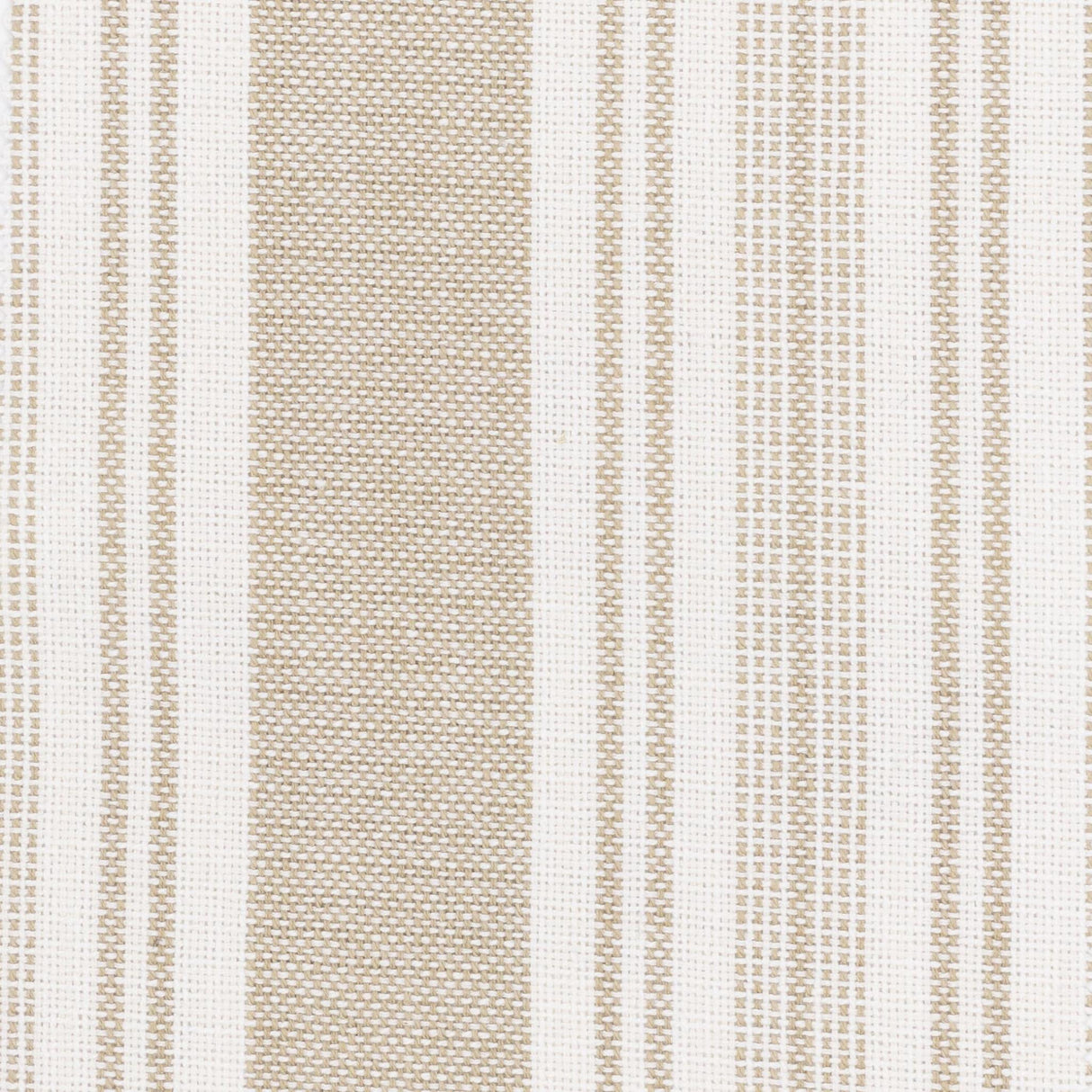 Stout CHINO CAMEL Fabric