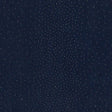 Schumacher Northern Lights Midnight Fabric