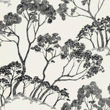 Schumacher Timber ! Black & White Wallpaper