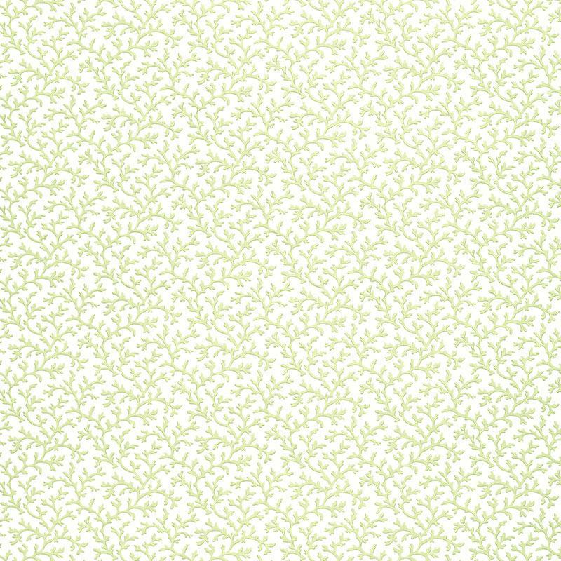 Schumacher Coral Vine Aloe Wallpaper
