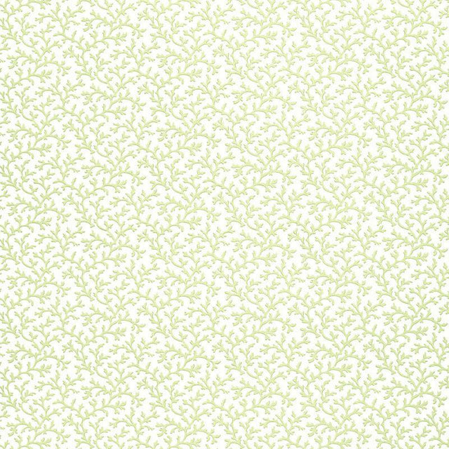 Schumacher Coral Vine Aloe Wallpaper