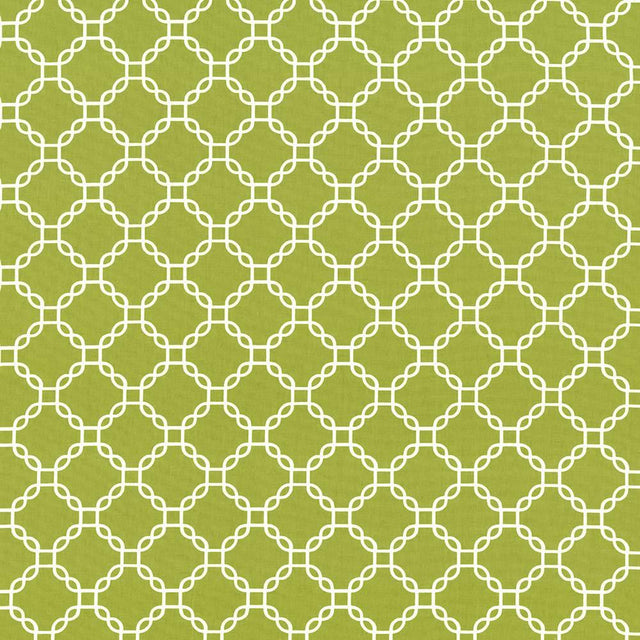 Kasmir Mahina Trellis Aloe Fabric
