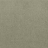 Kasmir Maison Royale Platinum Fabric