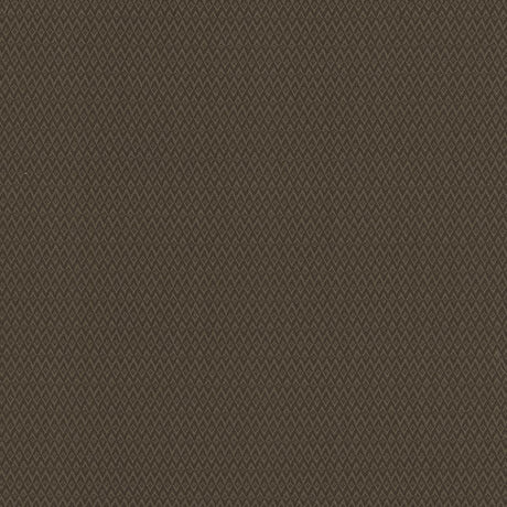 Kasmir Makai Chocolate Fabric