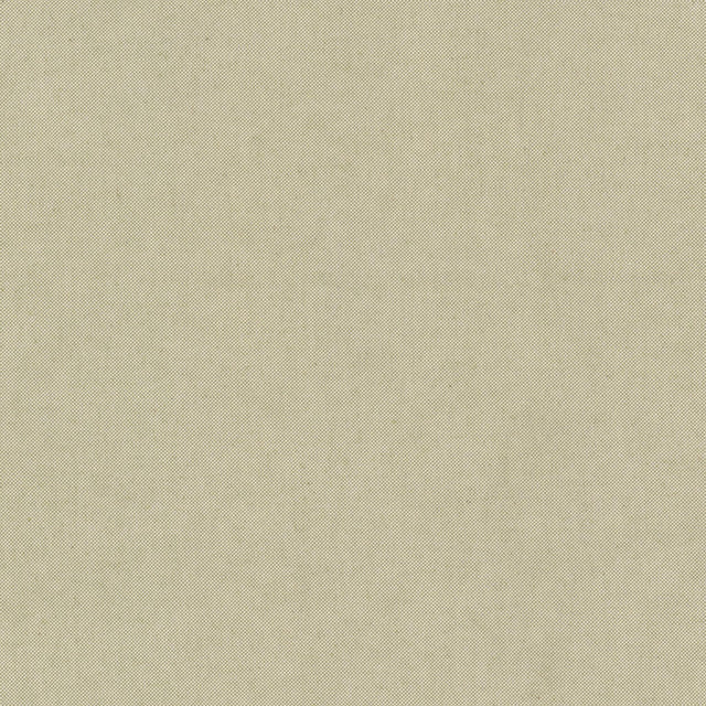 Stout PONDER CELERY Fabric