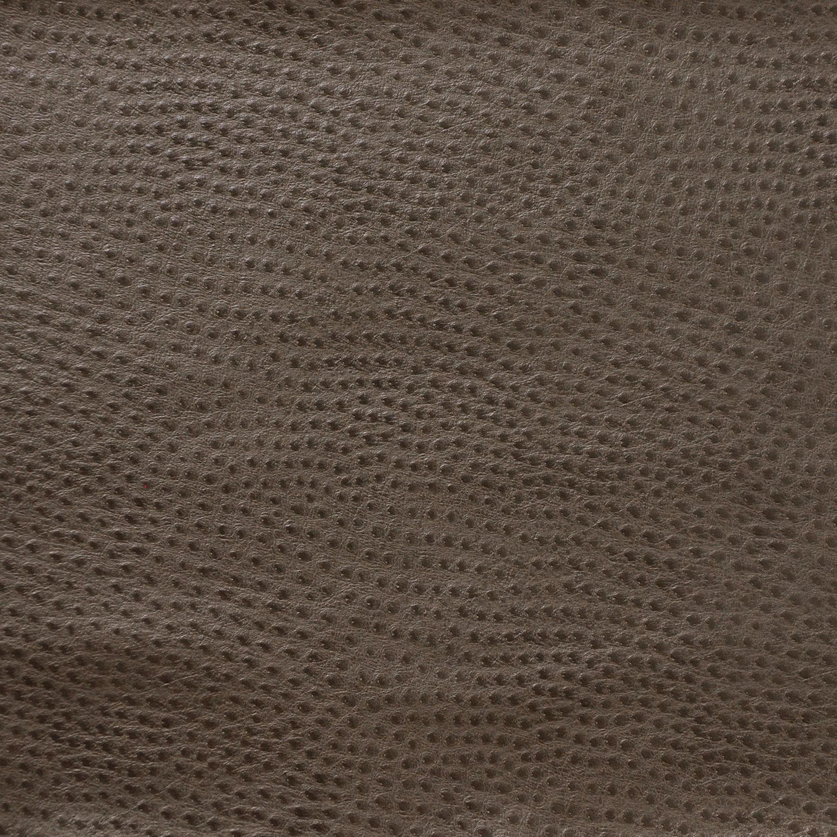 Kravet DESIGN DELANEY 2121 Upholstery Fabric