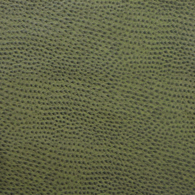 Kravet DESIGN DELANEY 3 Upholstery Fabric