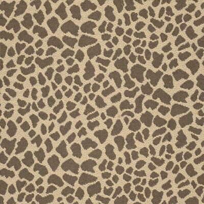 Kravet DAKTARI LEOPARD Fabric